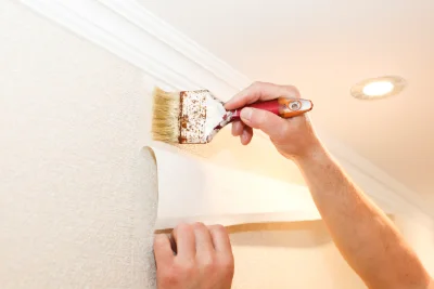 Pose de papier peint à Charrin — revêtements muraux et toiles de verre